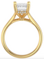 2.1mm Cathedral Solitaire Setting with Hidden Halo