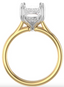 Custom Cathedral Solitaire Setting with Hidden Halo and Double Prongs