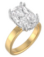 Custom Solitaire Setting with Hidden Halo and Double Prongs