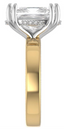 Custom Solitaire Setting with Hidden Halo and Double Prongs