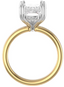 Custom Solitaire Setting with Hidden Halo and Double Prongs