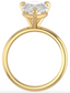 Custom Solitaire Setting