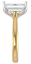 14k Yellow Gold Custom Solitaire Setting with 14k White Gold Head