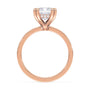 lm-preview|junie-double-claw-prong-hidden-halo-solitaire-setting|rose|emerald