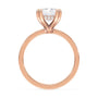 lm-preview|junie-double-claw-prong-hidden-halo-solitaire-setting|rose|radiant