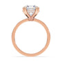 lm-preview|junie-double-claw-prong-hidden-halo-solitaire-setting|rose|round