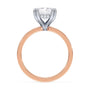 lm-preview|junie-double-claw-prong-hidden-halo-solitaire-setting|tt-rose|radiant