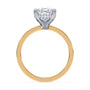 lm-preview|junie-double-claw-prong-hidden-halo-solitaire-setting|tt-yellow|pear