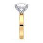 lm-preview|junie-double-claw-prong-hidden-halo-solitaire-setting|tt-yellow|radiant