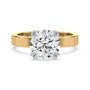 lm-preview|junie-double-claw-prong-hidden-halo-solitaire-setting|tt-yellow|round