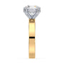 lm-preview|junie-double-claw-prong-hidden-halo-solitaire-setting|tt-yellow|round