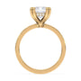 lm-preview|junie-double-claw-prong-hidden-halo-solitaire-setting|yellow|emerald