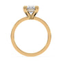 lm-preview|junie-double-claw-prong-hidden-halo-solitaire-setting|yellow|oval