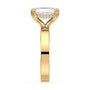 lm-preview|junie-double-claw-prong-hidden-halo-solitaire-setting|yellow|radiant