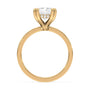 lm-preview|junie-double-claw-prong-hidden-halo-solitaire-setting|yellow|radiant