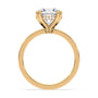 lm-preview|junie-double-claw-prong-hidden-halo-solitaire-setting|yellow|round