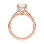 lm-preview|kennedy-hidden-halo-cathedral-solitaire-setting|rose|emerald