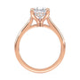 lm-preview|kennedy-hidden-halo-cathedral-solitaire-setting|rose|pear
