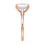 lm-preview|kennedy-hidden-halo-cathedral-solitaire-setting|rose|radiant