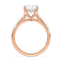 lm-preview|kennedy-hidden-halo-cathedral-solitaire-setting|rose|radiant