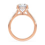 lm-preview|kennedy-hidden-halo-cathedral-solitaire-setting|rose|round