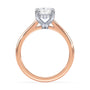 lm-preview|kennedy-hidden-halo-cathedral-solitaire-setting|tt-rose|elongated-cushion