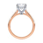 lm-preview|kennedy-hidden-halo-cathedral-solitaire-setting|tt-rose|emerald