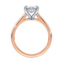 lm-preview|kennedy-hidden-halo-cathedral-solitaire-setting|tt-rose|oval