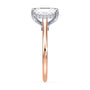 lm-preview|kennedy-hidden-halo-cathedral-solitaire-setting|tt-rose|radiant