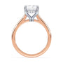 lm-preview|kennedy-hidden-halo-cathedral-solitaire-setting|tt-rose|radiant