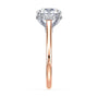 lm-preview|kennedy-hidden-halo-cathedral-solitaire-setting|tt-rose|round