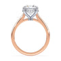 lm-preview|kennedy-hidden-halo-cathedral-solitaire-setting|tt-rose|round