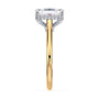 lm-preview|kennedy-hidden-halo-cathedral-solitaire-setting|tt-yellow|elongated-cushion