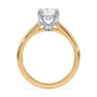 lm-preview|kennedy-hidden-halo-cathedral-solitaire-setting|tt-yellow|elongated-cushion