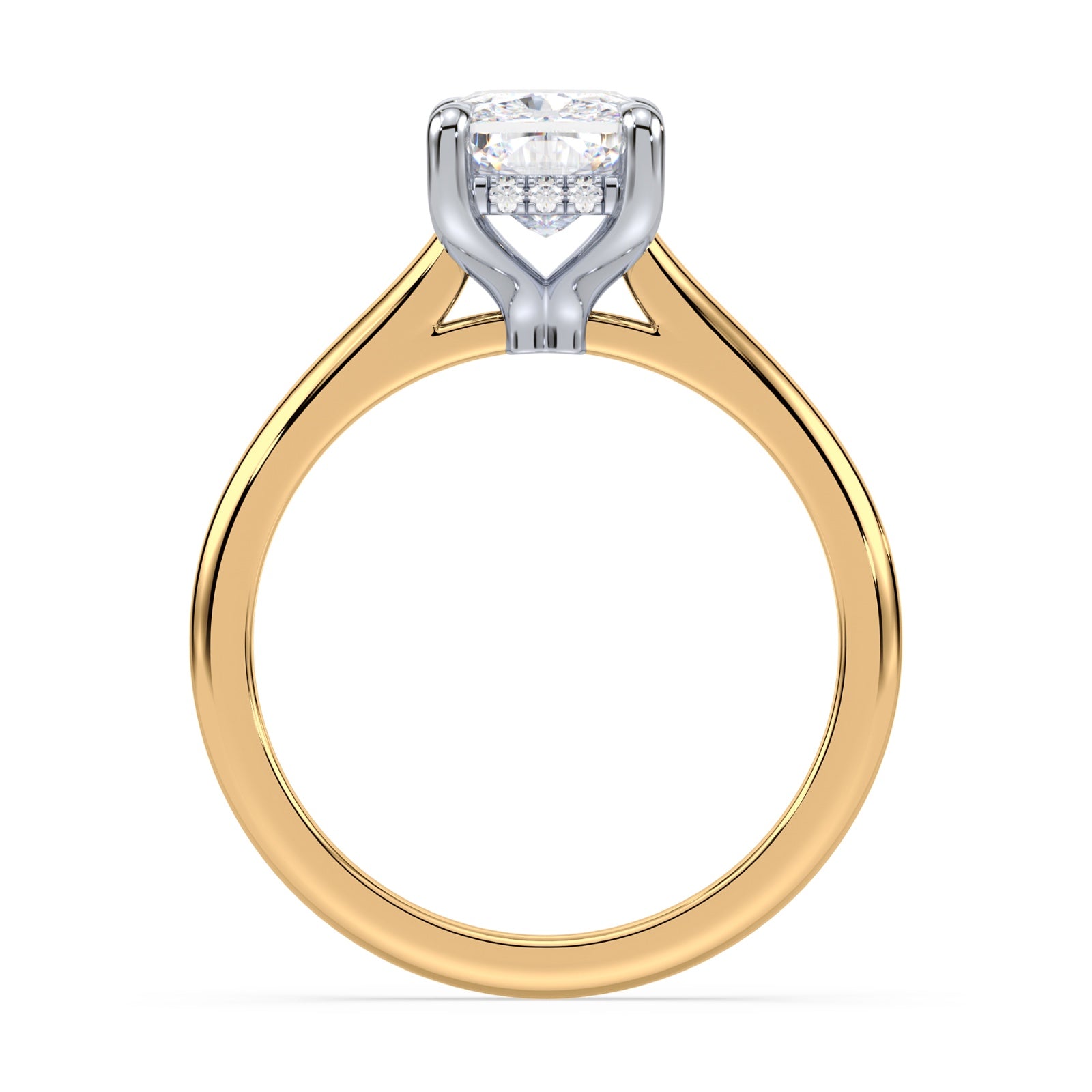 lm-preview|kennedy-hidden-halo-cathedral-solitaire-setting|tt-yellow|elongated-cushion