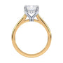 lm-preview|kennedy-hidden-halo-cathedral-solitaire-setting|tt-yellow|emerald