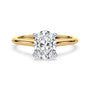 lm-preview|kennedy-hidden-halo-cathedral-solitaire-setting|tt-yellow|oval