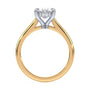 lm-preview|kennedy-hidden-halo-cathedral-solitaire-setting|tt-yellow|oval