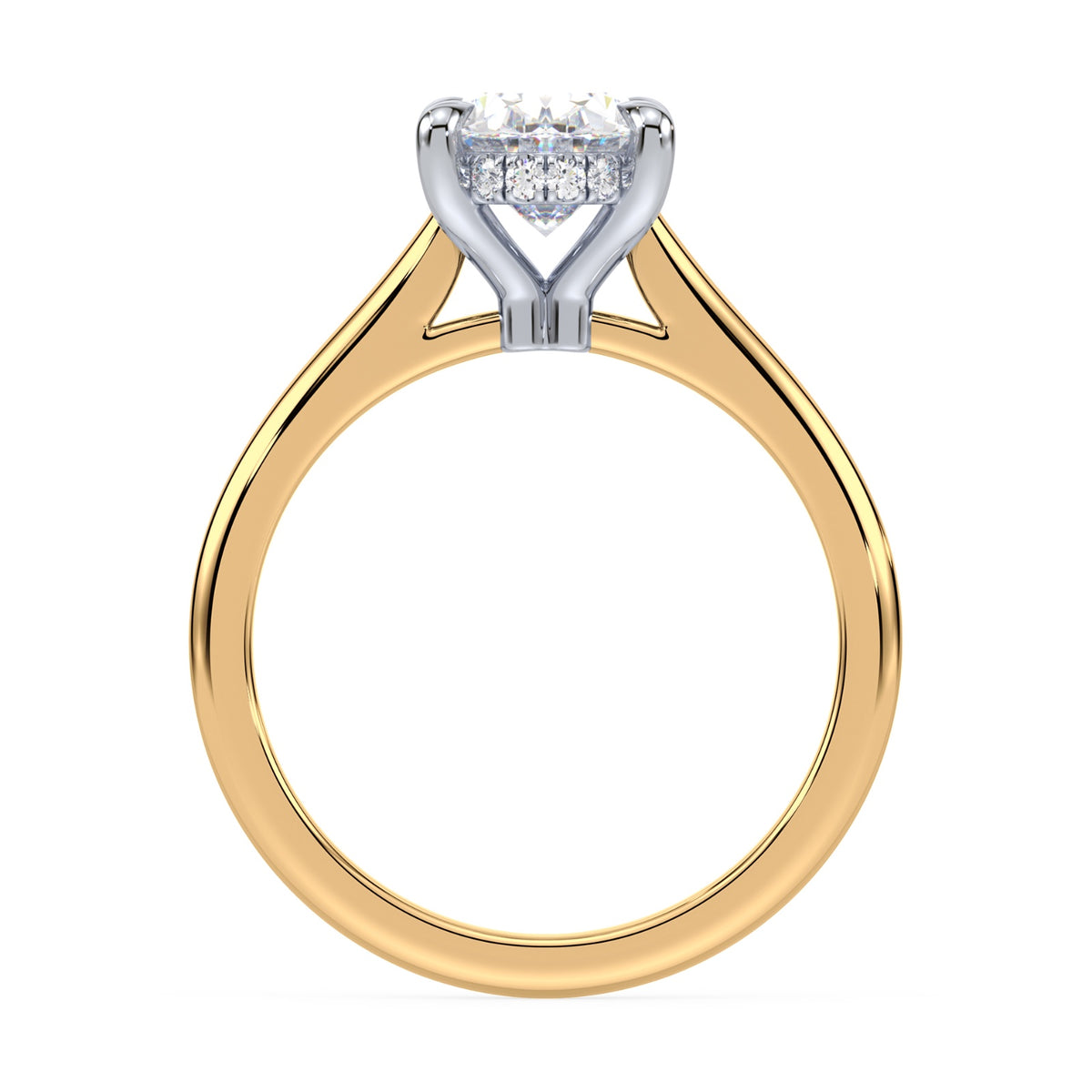lm-preview|kennedy-hidden-halo-cathedral-solitaire-setting|tt-yellow|oval
