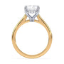 lm-preview|kennedy-hidden-halo-cathedral-solitaire-setting|tt-yellow|radiant
