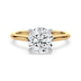 lm-preview|kennedy-hidden-halo-cathedral-solitaire-setting|tt-yellow|round