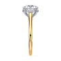 lm-preview|kennedy-hidden-halo-cathedral-solitaire-setting|tt-yellow|round