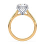 lm-preview|kennedy-hidden-halo-cathedral-solitaire-setting|tt-yellow|round