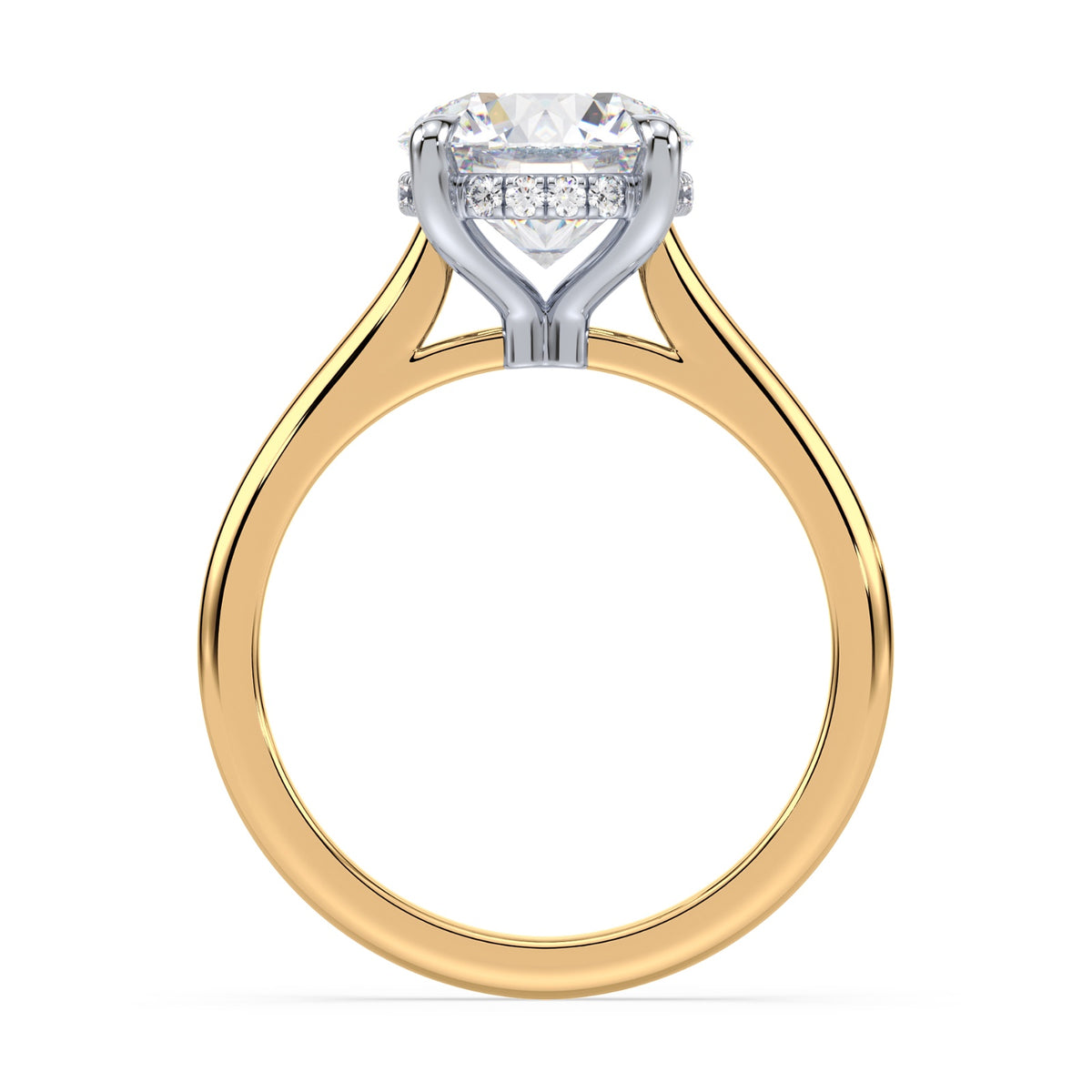 lm-preview|kennedy-hidden-halo-cathedral-solitaire-setting|tt-yellow|round