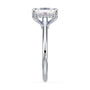 lm-preview|kennedy-hidden-halo-cathedral-solitaire-setting|white|elongated-cushion