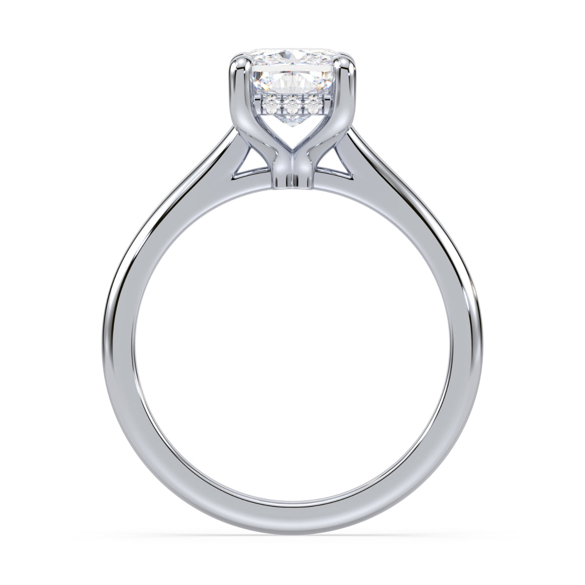 lm-preview|kennedy-hidden-halo-cathedral-solitaire-setting|white|elongated-cushion