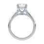 lm-preview|kennedy-hidden-halo-cathedral-solitaire-setting|white|emerald