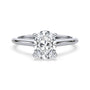 lm-preview|kennedy-hidden-halo-cathedral-solitaire-setting|white|oval