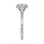 lm-preview|kennedy-hidden-halo-cathedral-solitaire-setting|white|oval