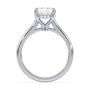 lm-preview|kennedy-hidden-halo-cathedral-solitaire-setting|white|radiant